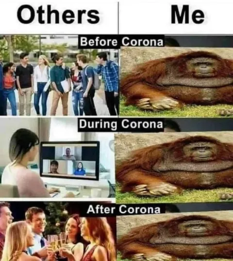 Others vs Me During Corona
