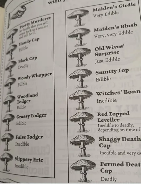 Funny Mushroom Field Guide