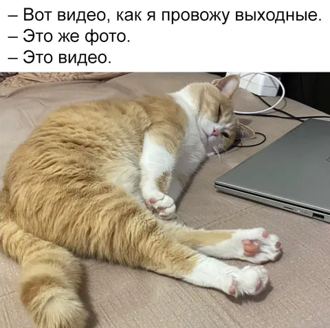 Как я провожу выходные