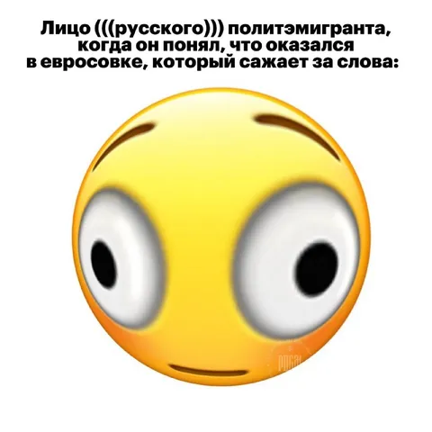 Лицо политэмигранта в евросовке