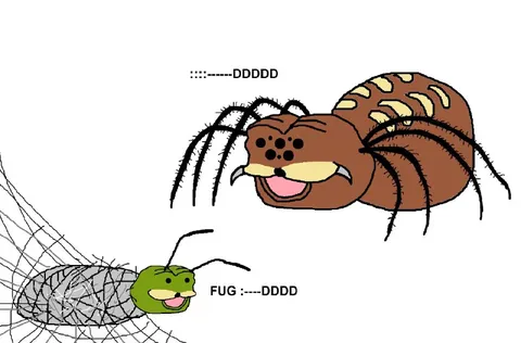 Spider and Fly DDDDD
