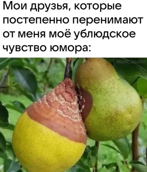 Ублюдское чувство юмора