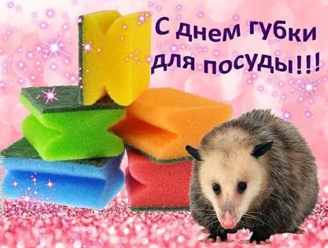 С Днём губки для посуды
