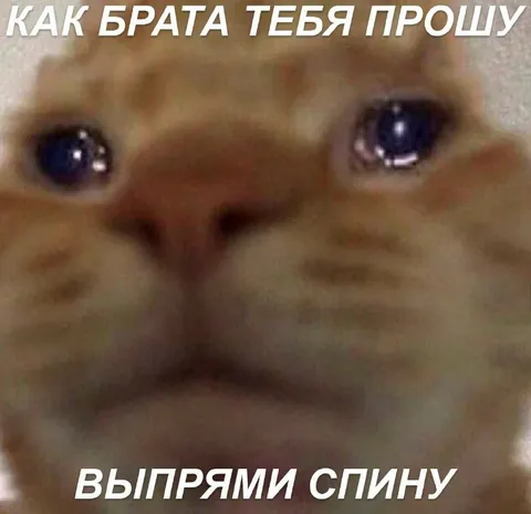 Как брата прошу вып*рями спину