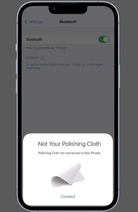 Not Your Polishing Cloth