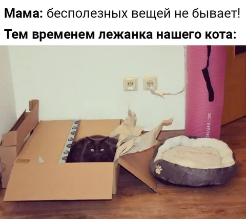 Лежанка кота вместо кроватки