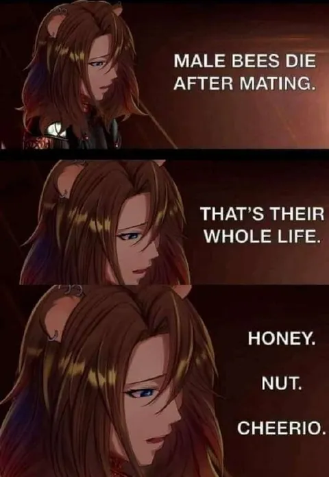 Male Bees Die After Mating