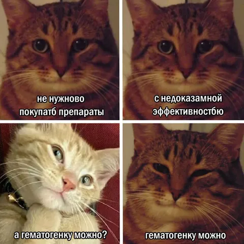 Кот с недоказанной эффективностью