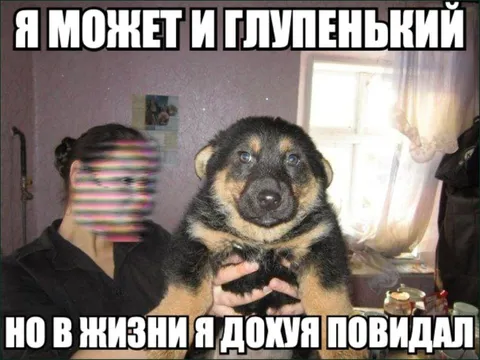 Глупенький, но многое повидал