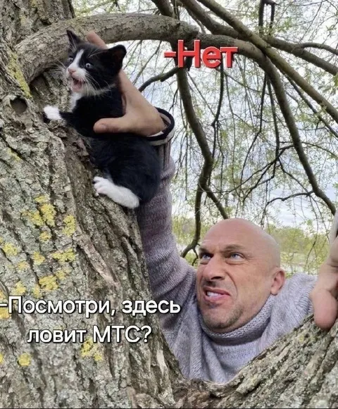 Здесь ловит МТС?