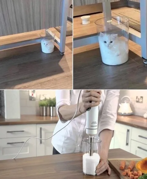 Кот в стакане муки