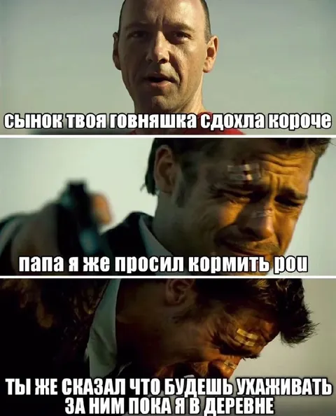 Сынок, твоя говняшка сдохла