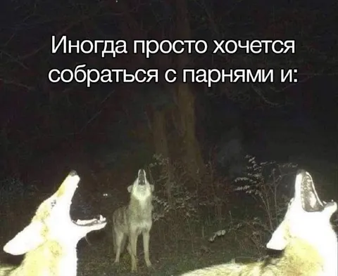 Собраться с парнями и поорать