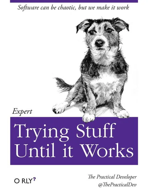 Expert Trying Stuff Until It Works