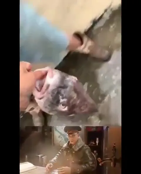 Машина в затопленном гараже