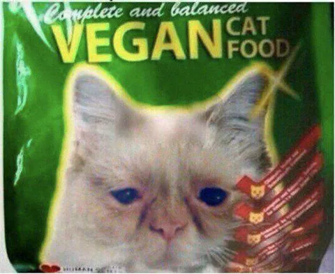 Vegan Cat Food
