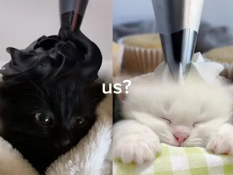 Мы с тобой украшаем торты