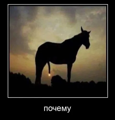 Почему лошадь выглядит странно