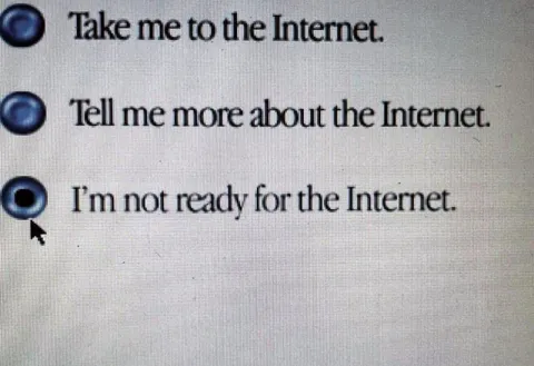 Not Ready for the Internet