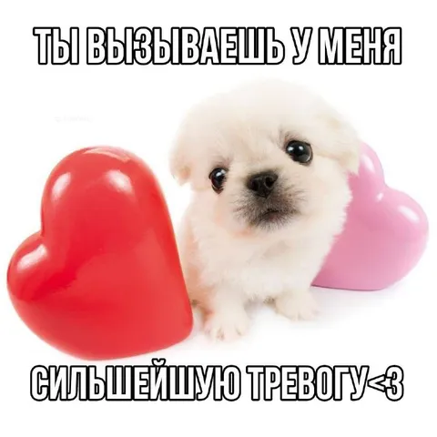 Ты вызываешь сильнейшую тревогу