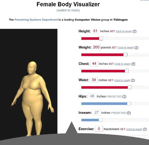 Female Body Visualizer Settings