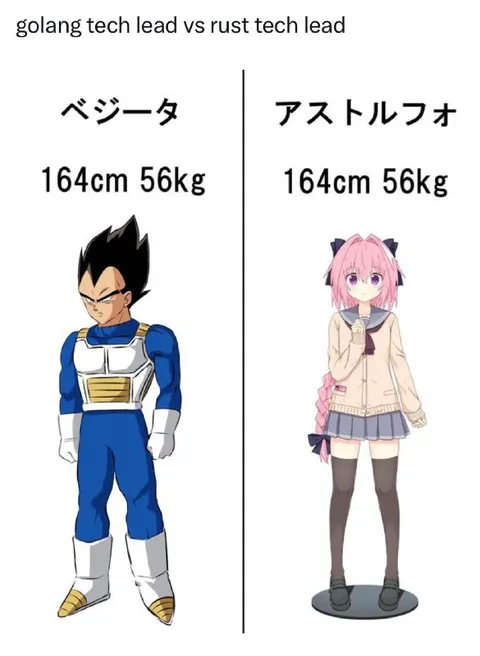Golang Tech Lead vs Rust Tech Lead