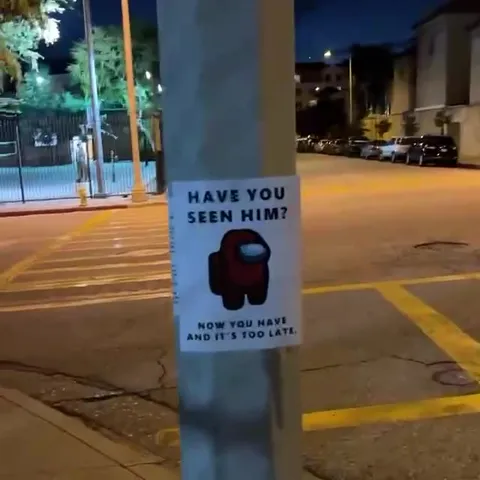 Have You Seen Him Too Late