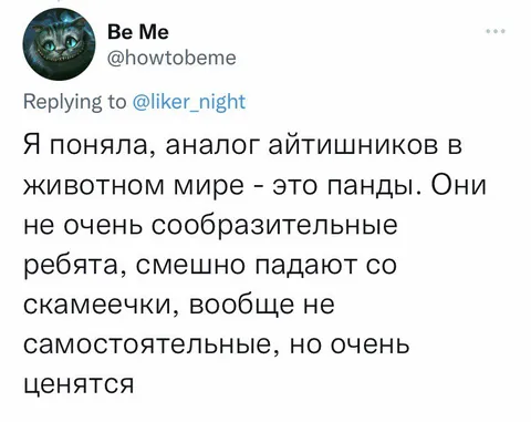 Панды — аналог айтишников