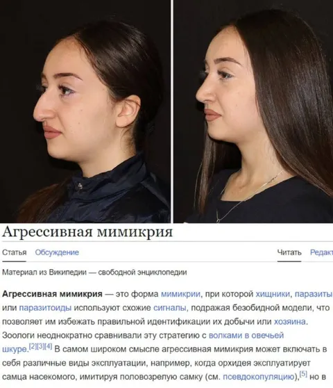 Агрессивная мимикрия