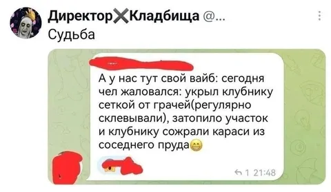 Судьба карасей из соседнего пруда