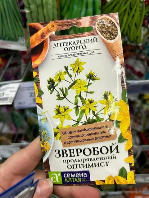 Зверобой-продырявленный оптимист