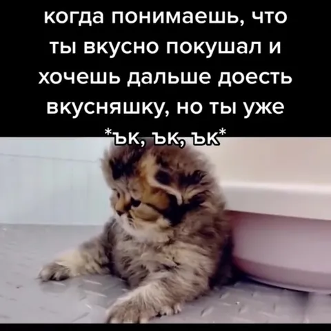 Котёнок хочет ещё вкусняшку