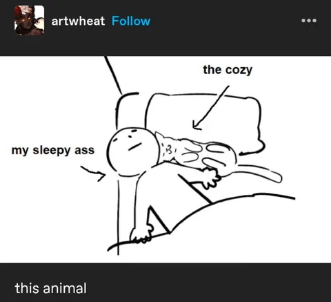 My Sleepy Ass in the Cozy