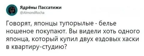 Японец с двумя ездовыми хаски
