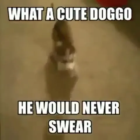 Cute Doggo Would Never Swear