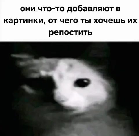 Кролик для репоста
