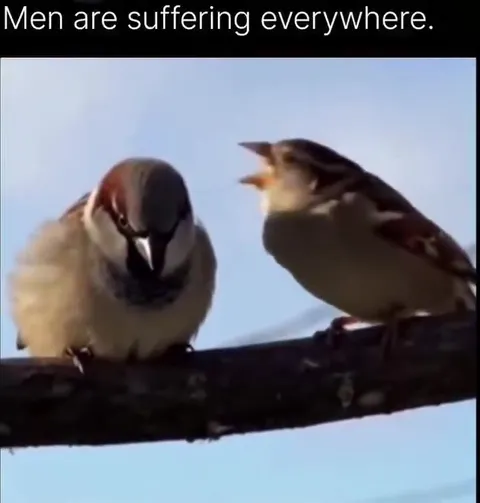 Men Are Suffering Everywhere
