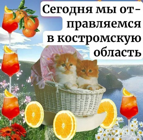 Сегодня мы отправляемся в Костромскую область