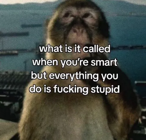 Smart but Everything Is Stupid