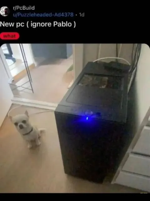 New PC, Ignore Pablo