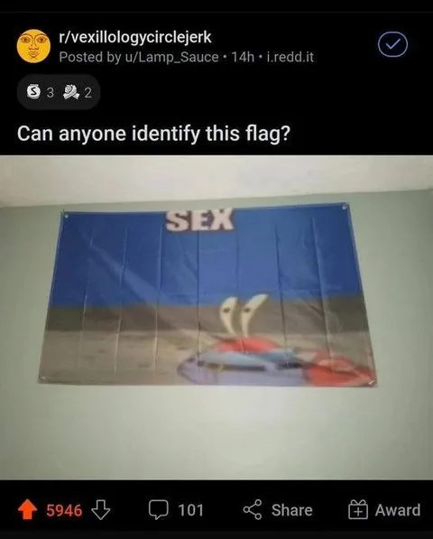 Can Anyone Identify This Flag?