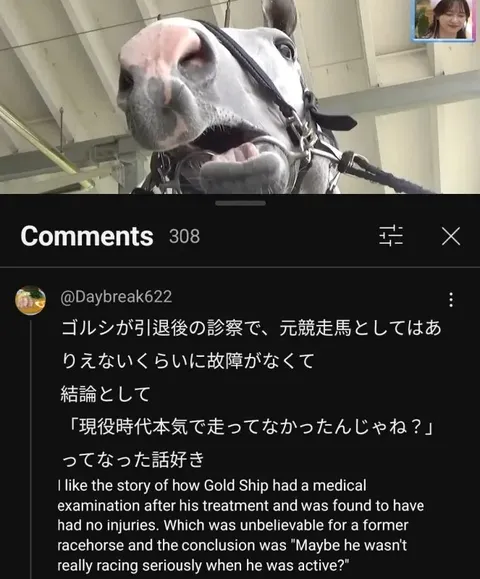 ゴールドシップの現役時代