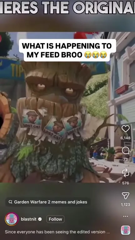 What Is Happening to My Feed Bro