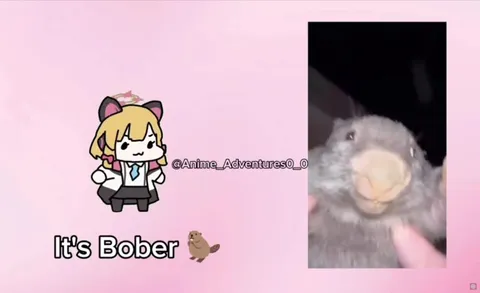 Oh My God, It's Bober