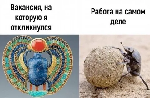 Вакансия и работа на самом деле