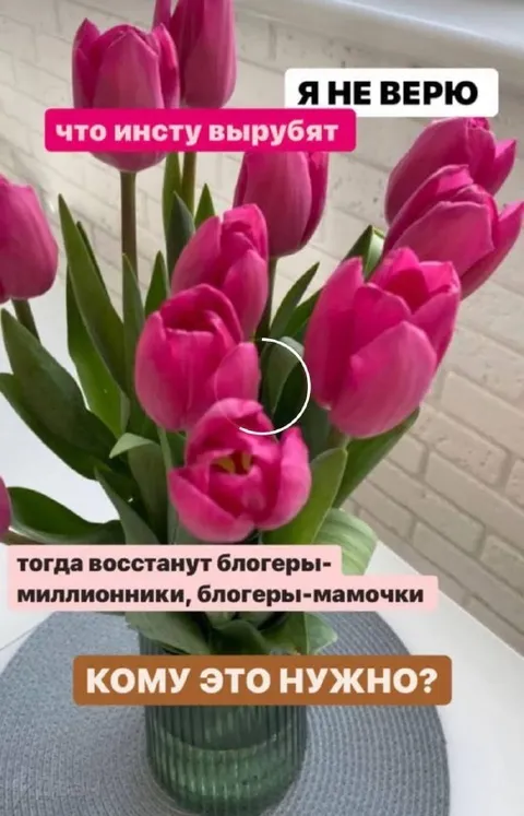 Я не верю, что инсту вырубят