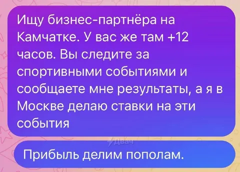 Бизнес-партнёр на Камчатке