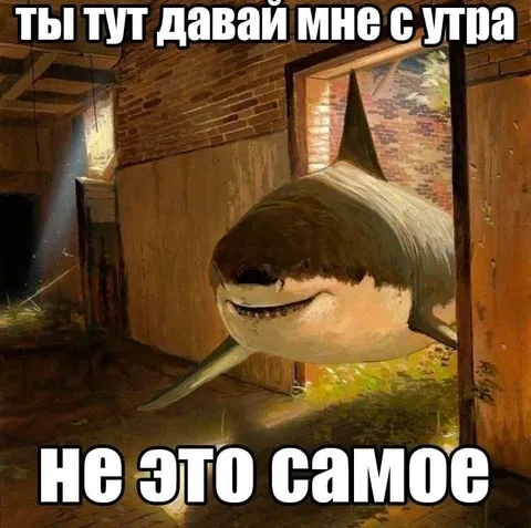 Ты тут давай мне с утра