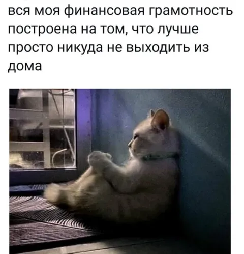 Финансовая грамотность не выходить из дома