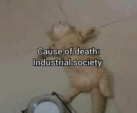 Cause of Death: Industrial Society